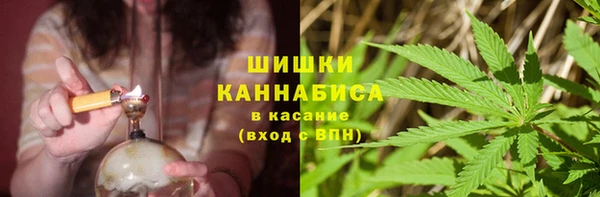 сатива Алзамай