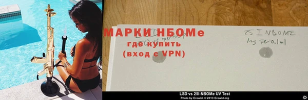 сатива Алзамай